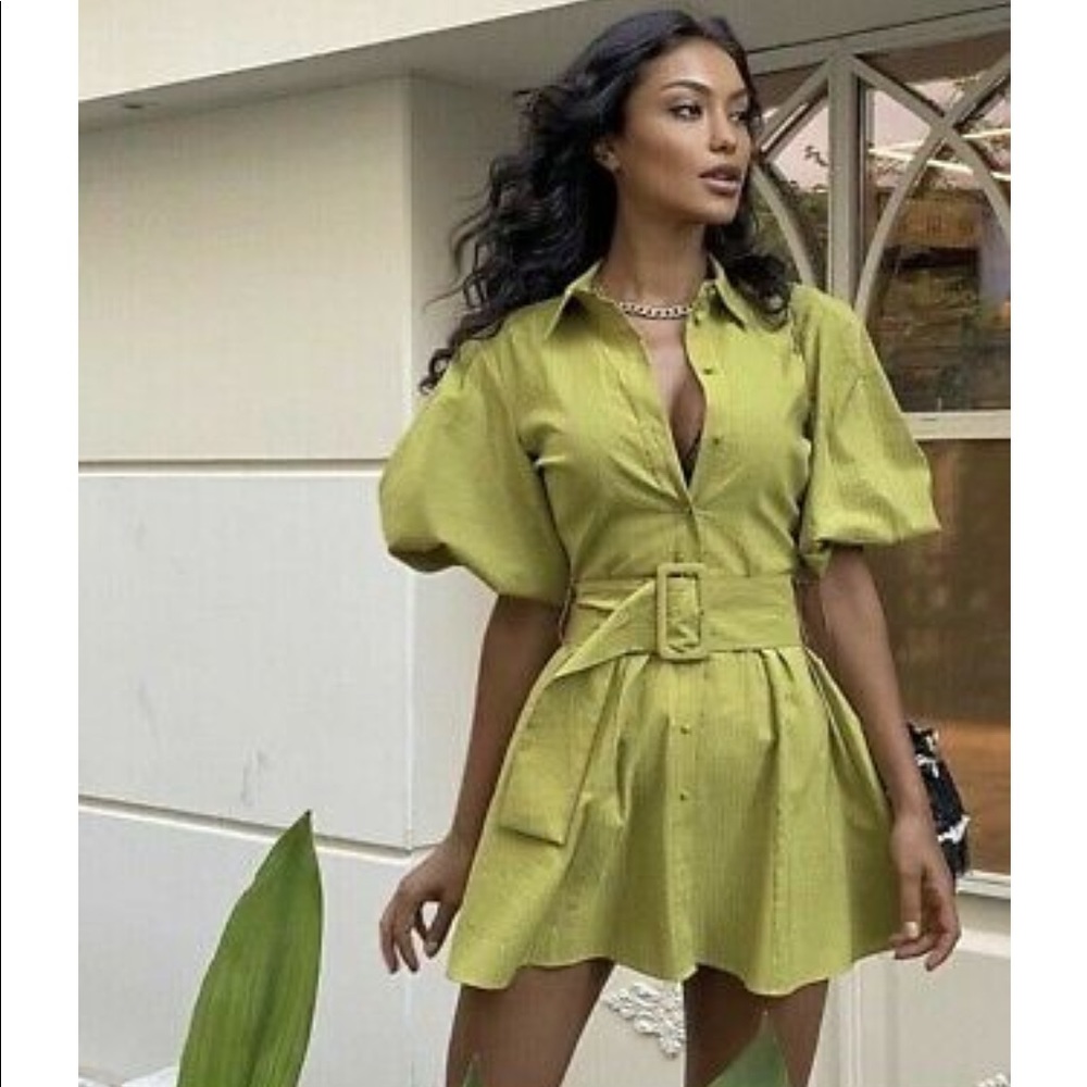 VOLUMINOUS SLEEVE GREEN DRESS zara limited edition